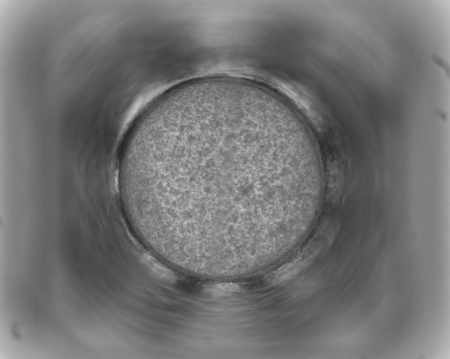 X0000096481462200802071908