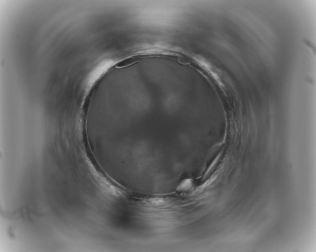 X0000096481463200802071908