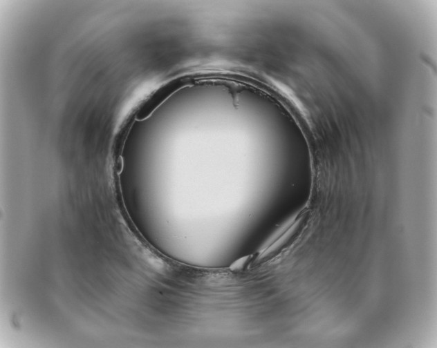 X0000096481464200802071908