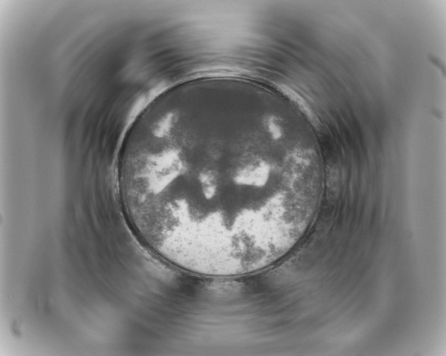 X0000096481466200802071908