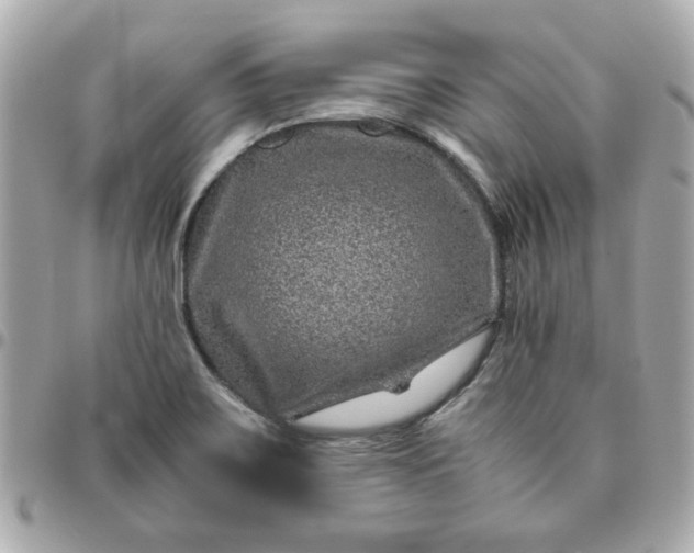 X0000096481467200802071908