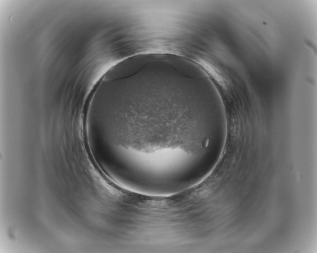 X0000096481468200802071908