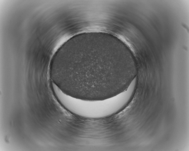 X0000096481469200802071908