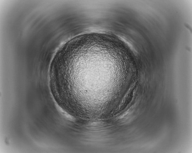 X0000096481471200802071908