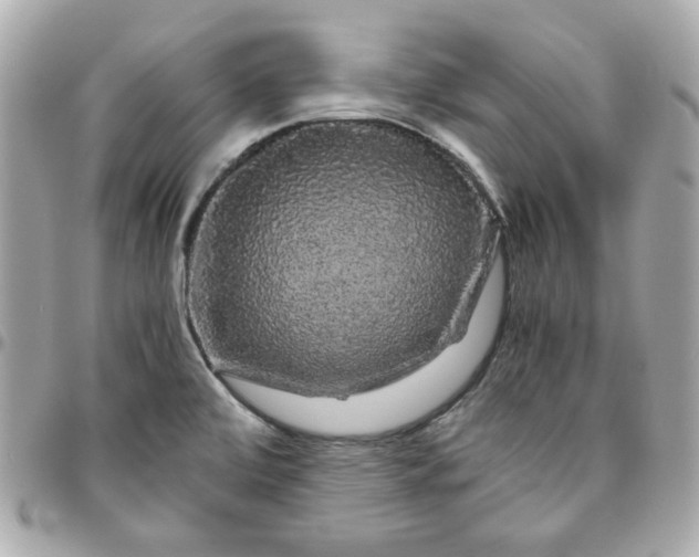 X0000096481472200802071908