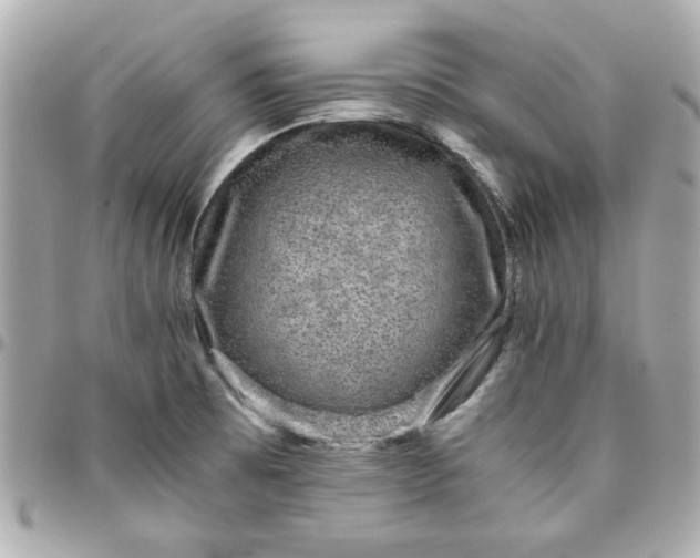 X0000096481473200802071908