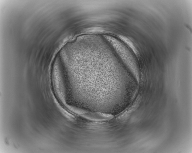 X0000096481475200802071908