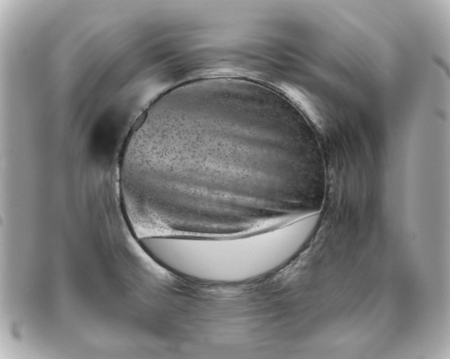 X0000096481476200802071908