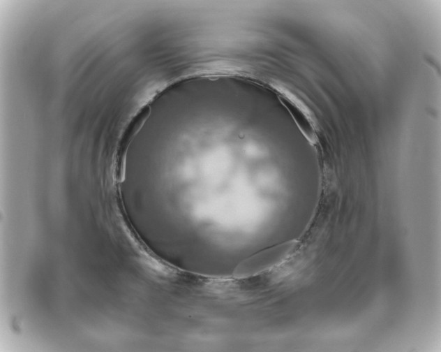 X0000096481477200802071908