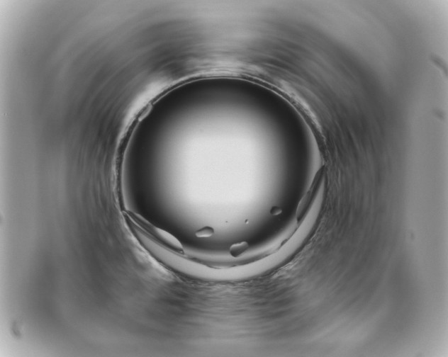 X0000096481480200802071908