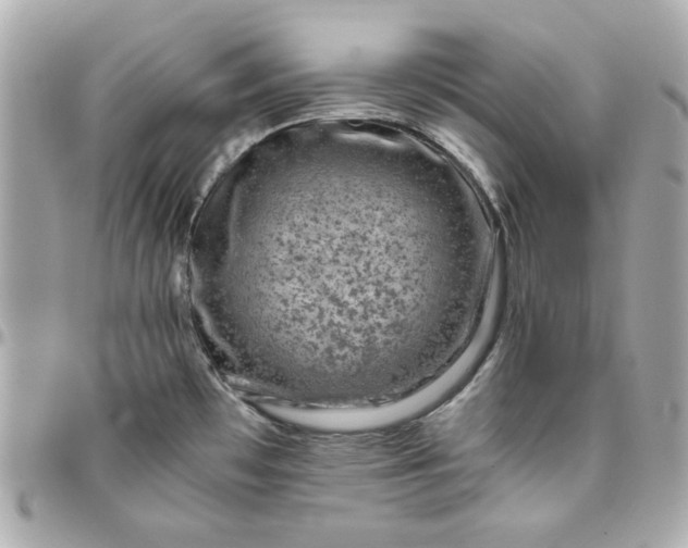 X0000096481481200802071908