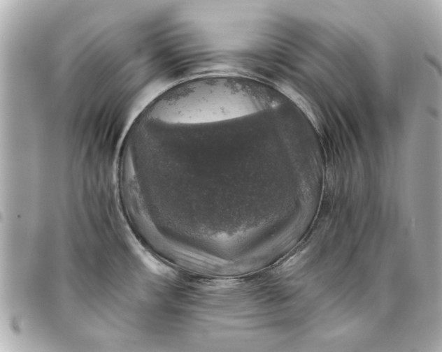 X0000096481482200802071908