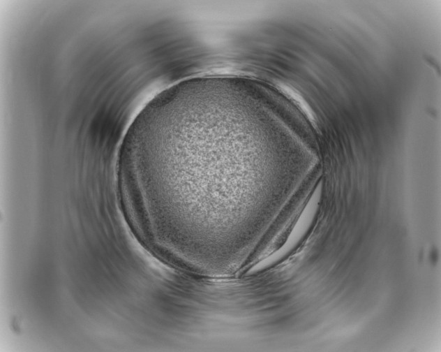 X0000096481483200802071908