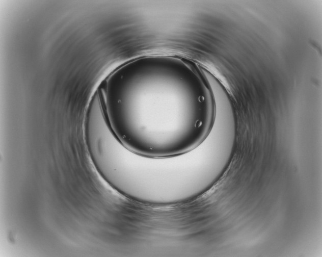 X0000096481484200802071908