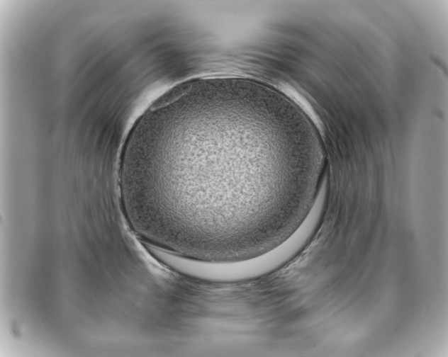 X0000096481485200802071908