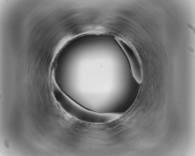 X0000096481488200802071908