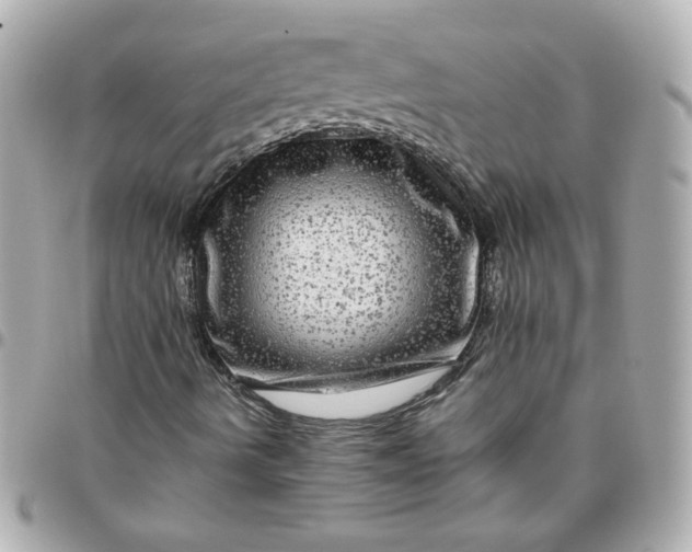 X0000096481490200802071907