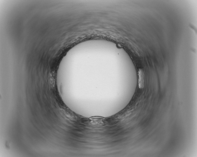 X0000096481491200802071907