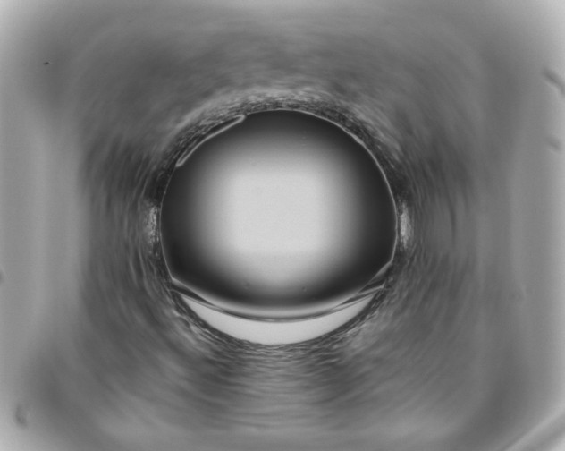 X0000096481492200802071907