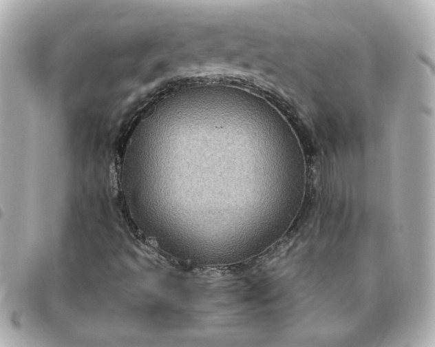 X0000096481493200802071907