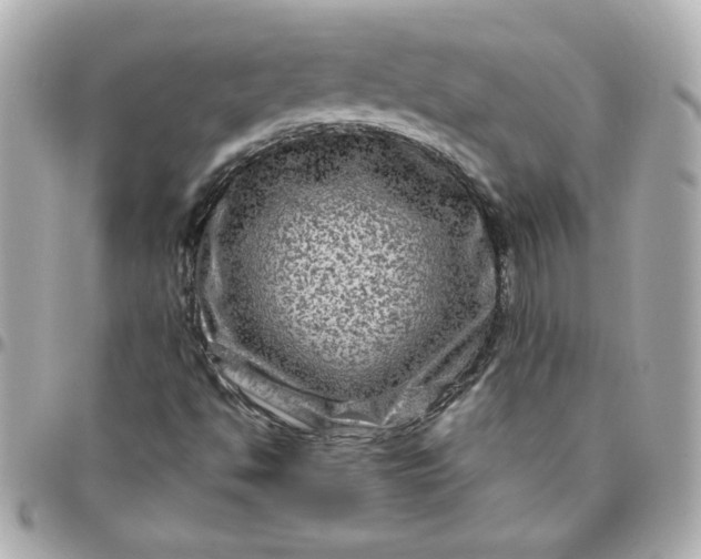 X0000096481494200802071907