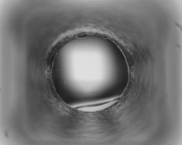 X0000096481495200802071907