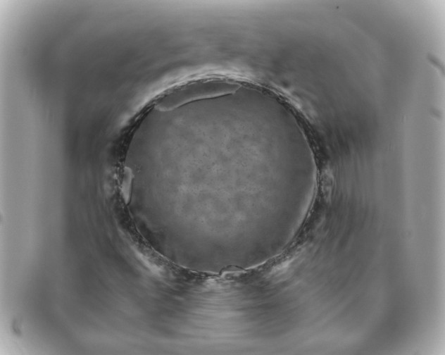 X0000096481496200802071907