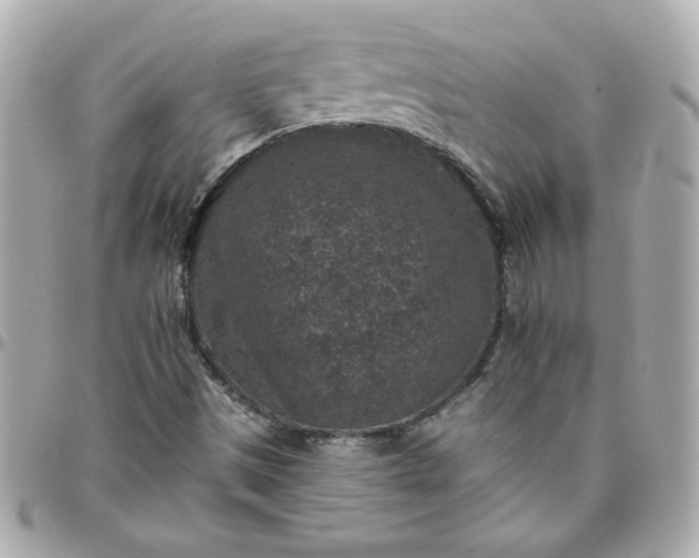 X0000096481497200802071907