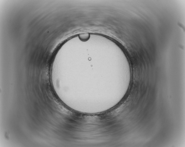 X0000096481498200802071907