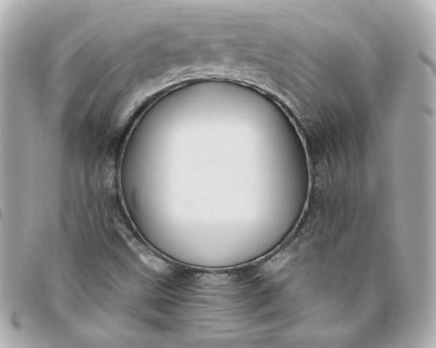 X0000096481499200802071907