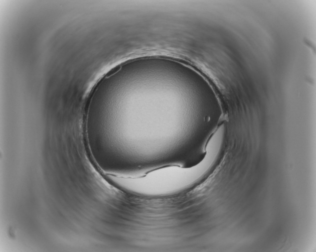 X0000096481500200802071907