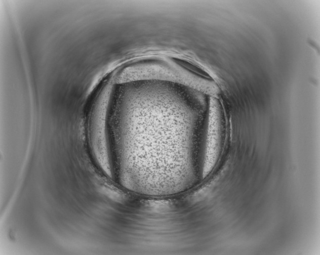 X0000096481501200802071907