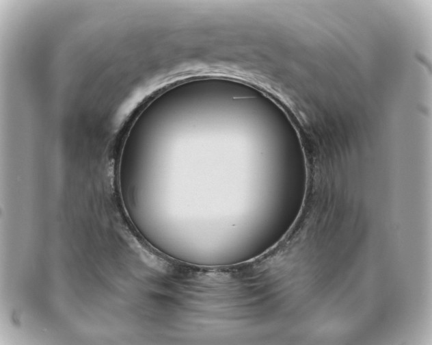 X0000096481503200802071907