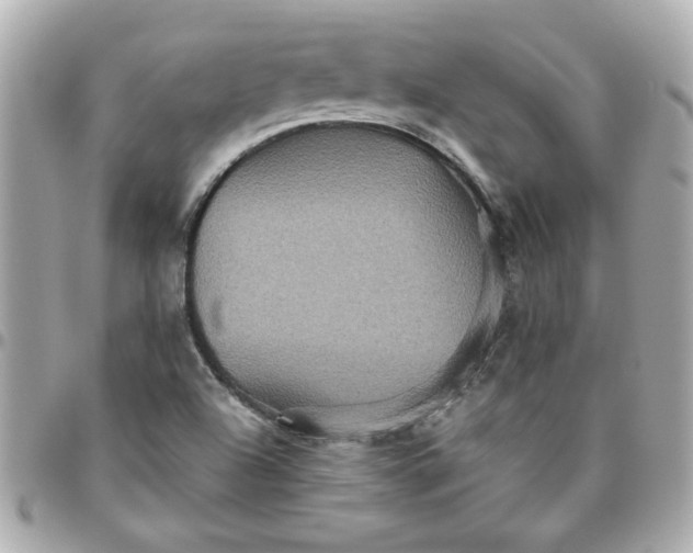 X0000096481504200802071907