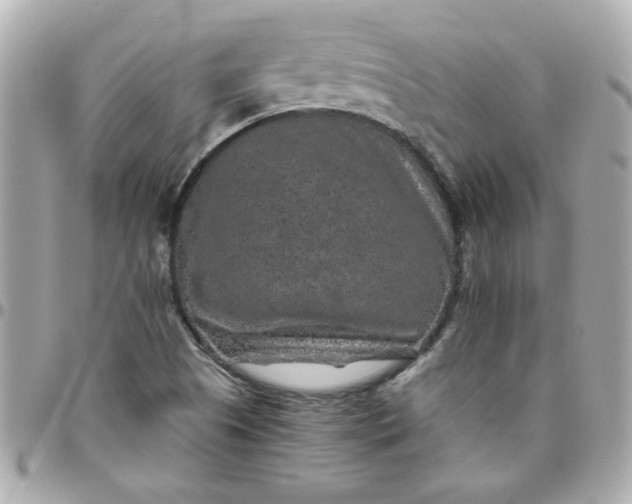 X0000096481505200802071907