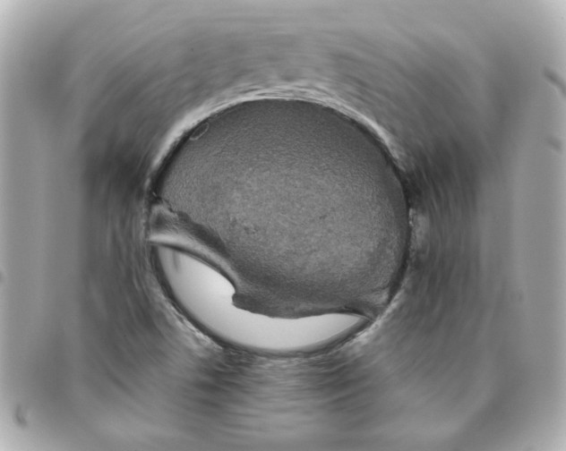 X0000096481506200802071907