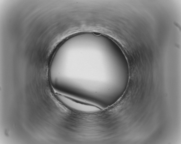 X0000096481507200802071907