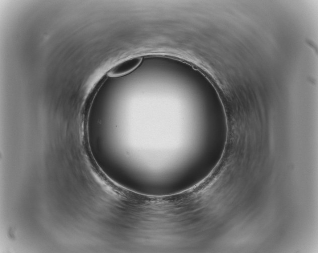 X0000096481511200802071907