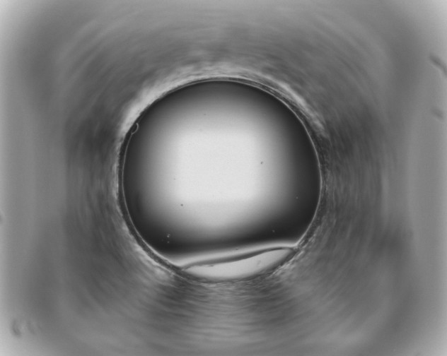 X0000096481512200802071907