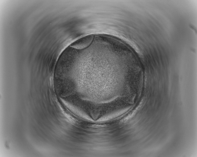 X0000096481513200802071907