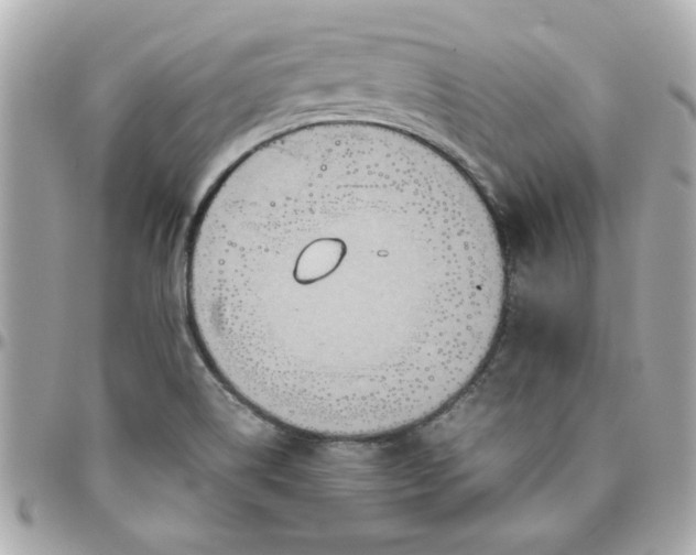 X0000096481514200802071907