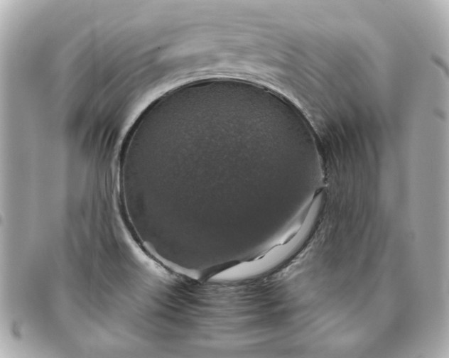 X0000096481515200802071907