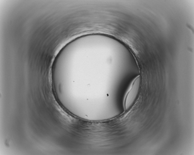 X0000096481516200802071907