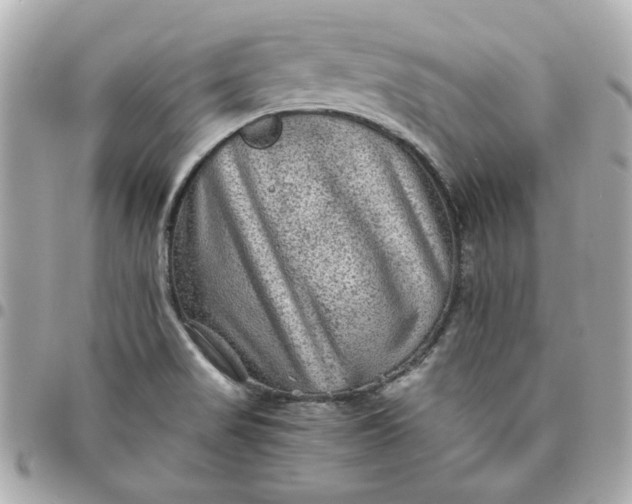 X0000096481517200802071907