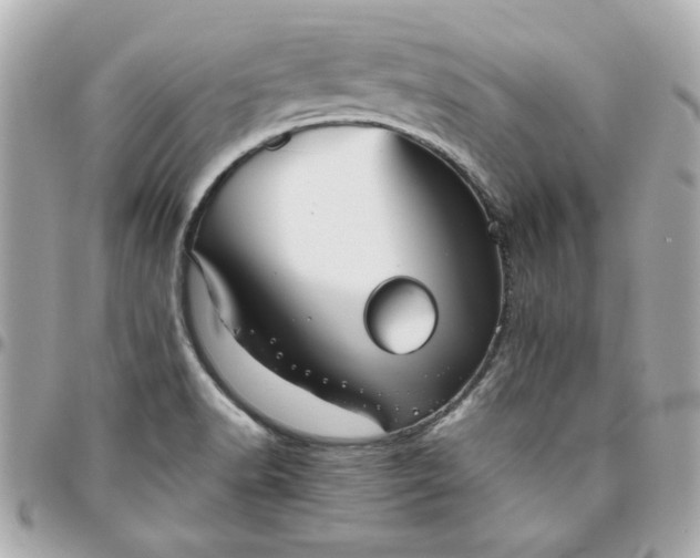 X0000096481518200802071908