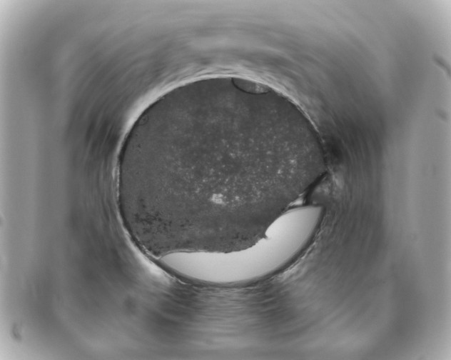 X0000096481519200802071908