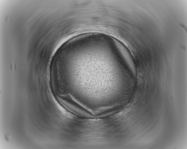 X0000096481523200802071908