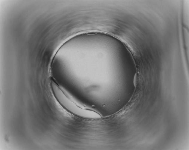 X0000096481524200802071908