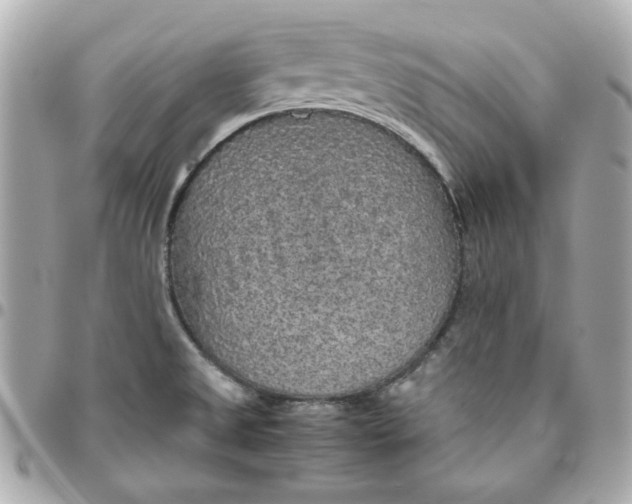 X0000096481525200802071908