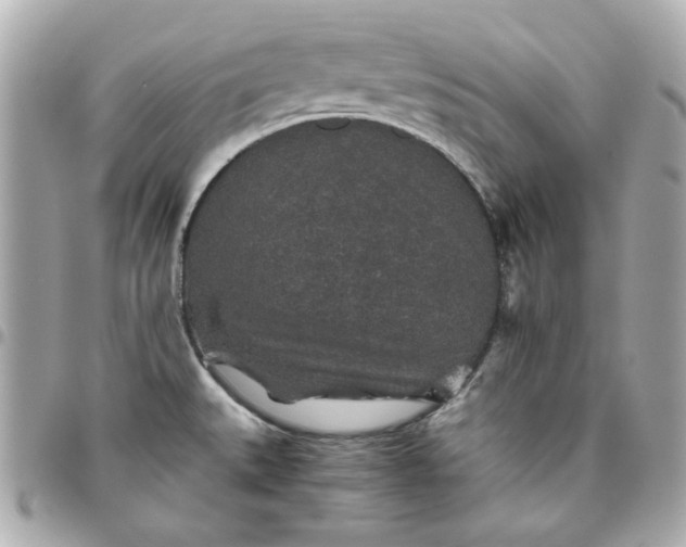 X0000096481527200802071908